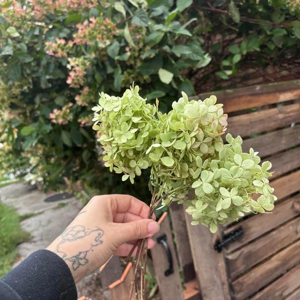 N/A these stunning